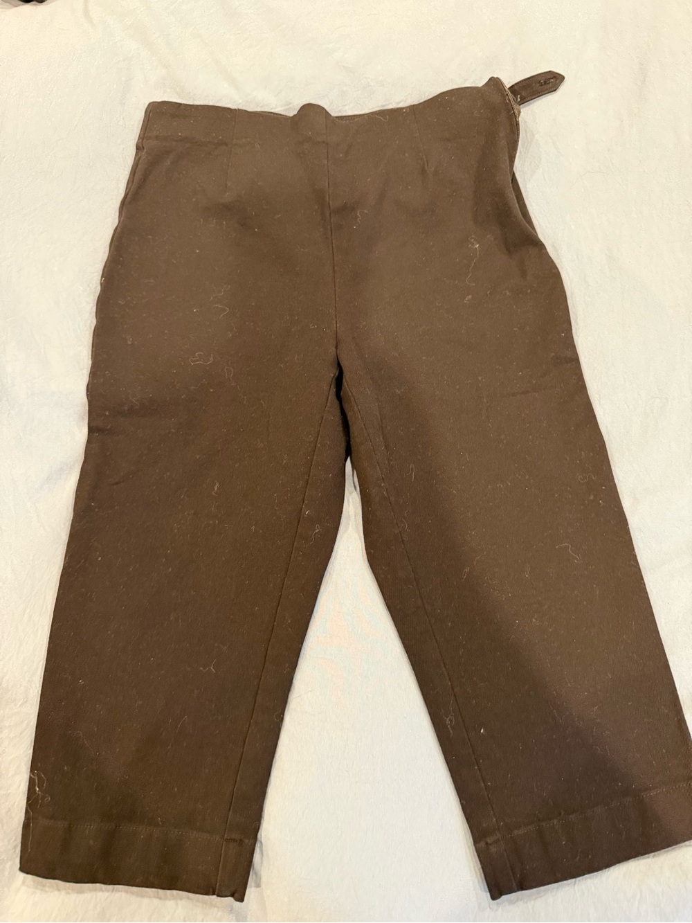 LOFT Dark Brown Cropped Capris with Side Tab
